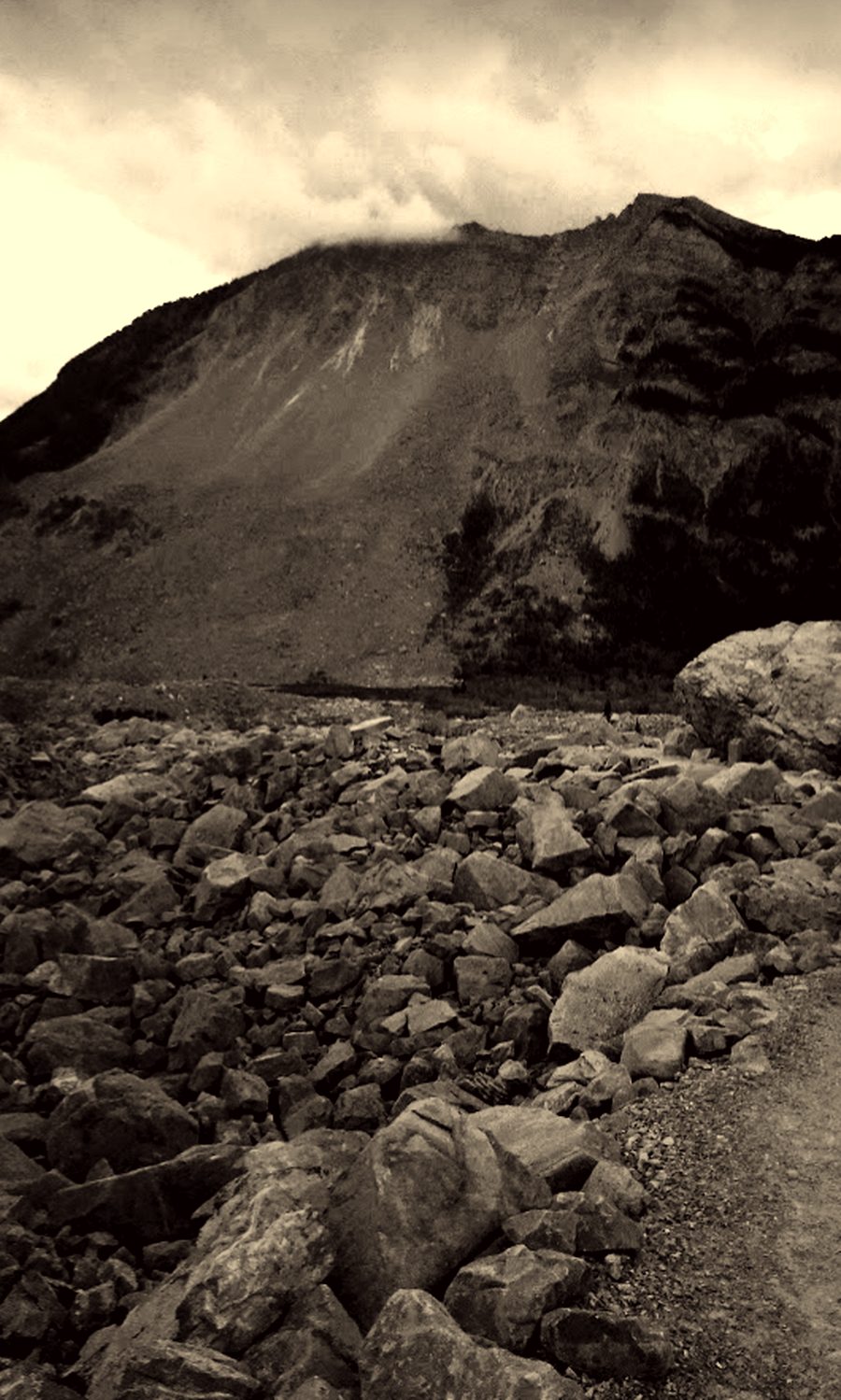 Turtle Mountain and the Frank Slide boulder field